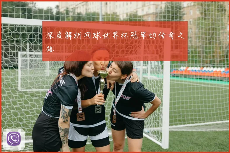 深度解析网球世界杯冠军的传奇之路