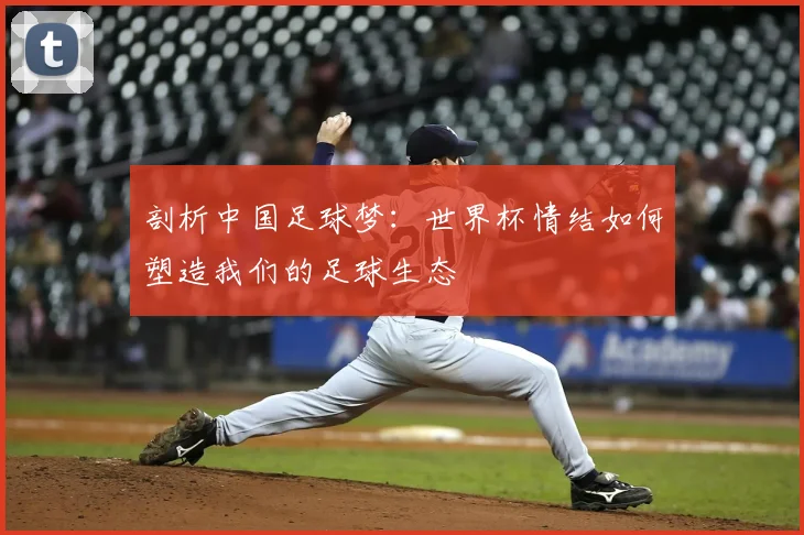 剖析中国足球梦:世界杯情结如何塑造我们的足球生态
