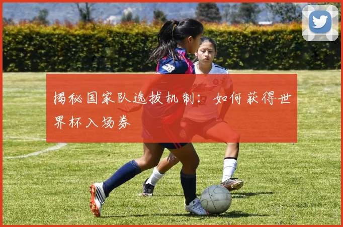 揭秘国家队选拔机制:如何获得世界杯入场券