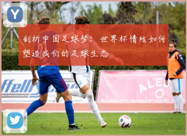 剖析中国足球梦:世界杯情结如何塑造我们的足球生态