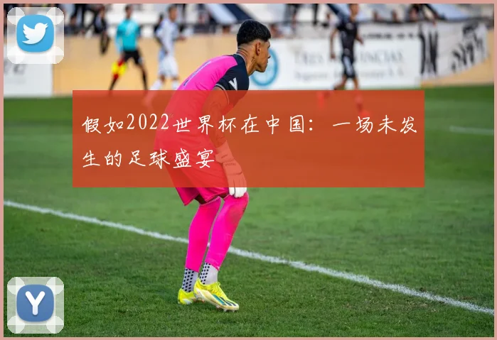 假如2022世界杯在中国：一场未发生的足球盛宴