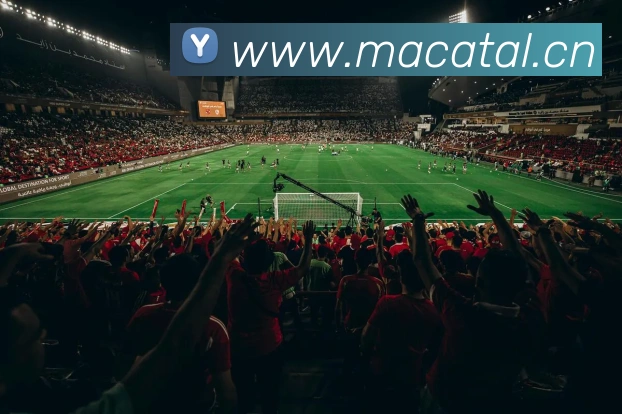 爱游戏登录官网入口平台生态图